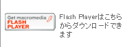 Flash player͂炩_E[hł܂