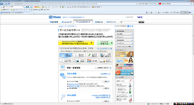 Internet Explorer 8N܂